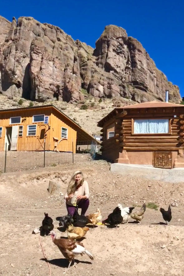 Witness the beauty of rural life as a woman feeds chickens in front of a quaint cabin